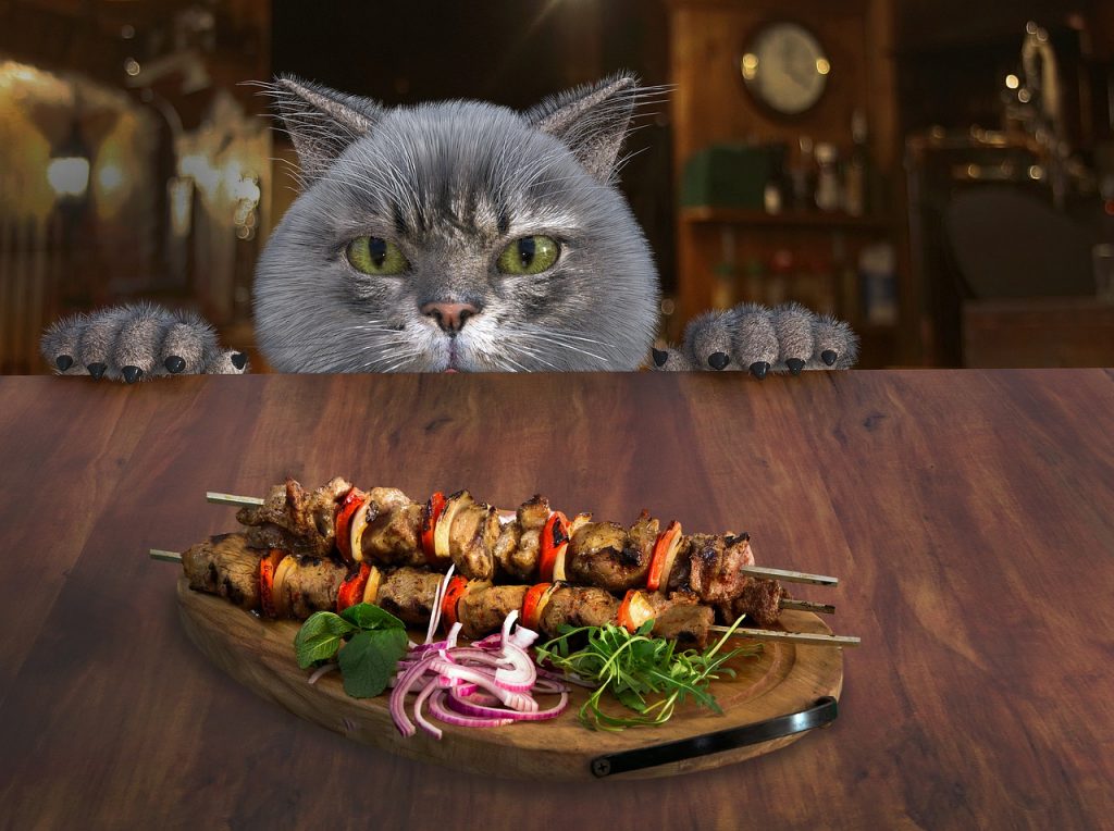 cat, table, enjoy the meal-6898134.jpg